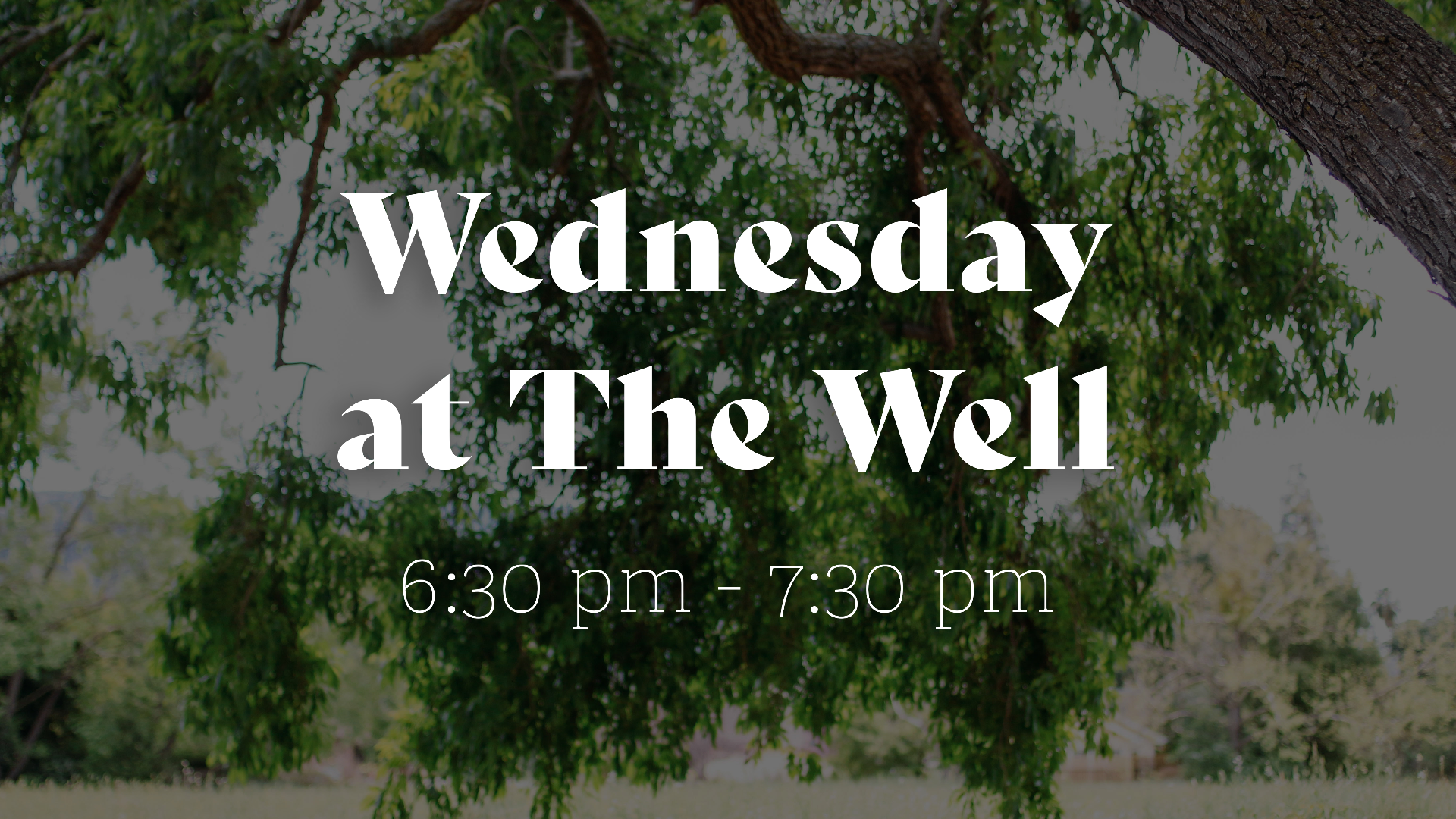 Wednesday at the Well Guidelines episode artwork