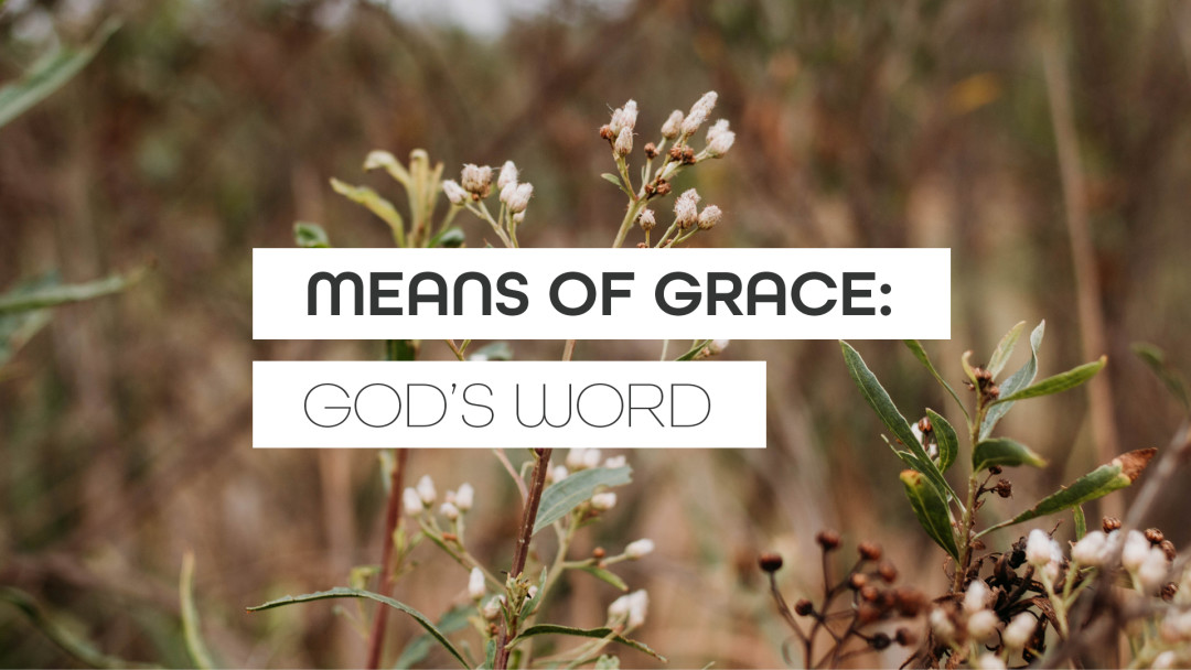 God's Word: Abiding in Jesus through Obedience - Audio