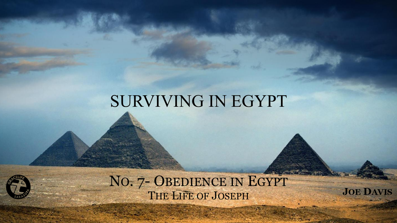 Surviving In Egypt (Life of Joseph) No.7- Obedience in Egypt episode artwork