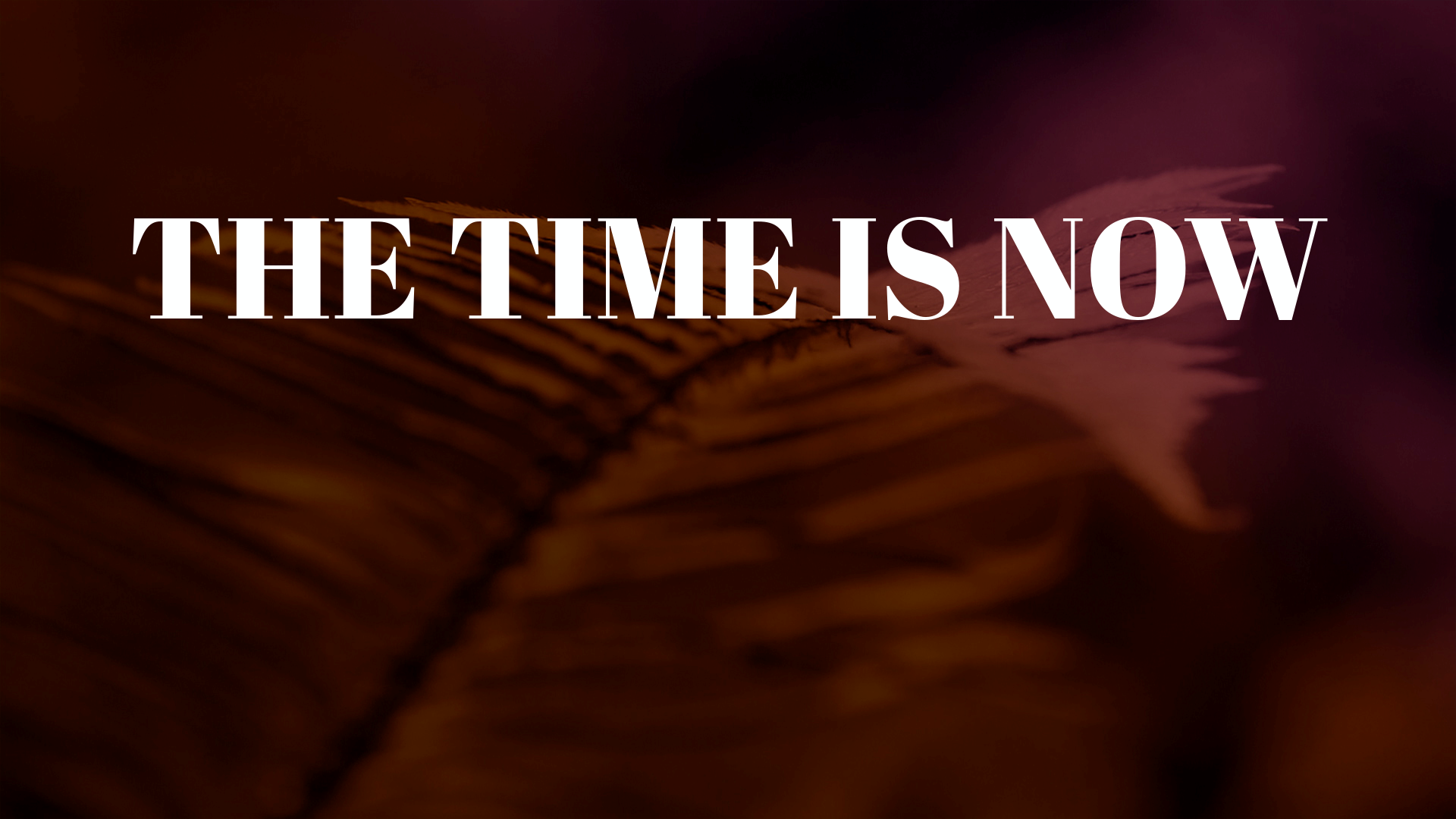Stand Alone Sermon| The Time is Now