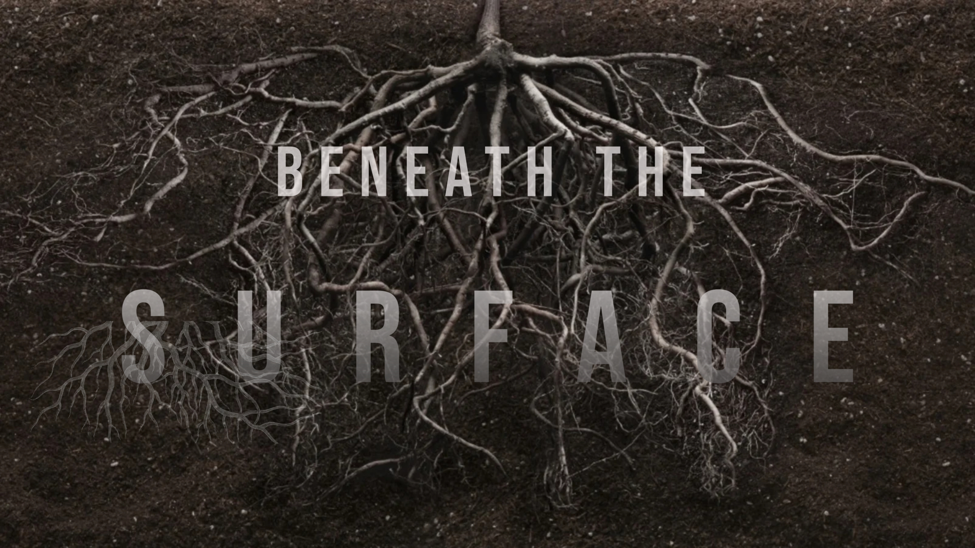 Romans |The Sermon Series| Part 20