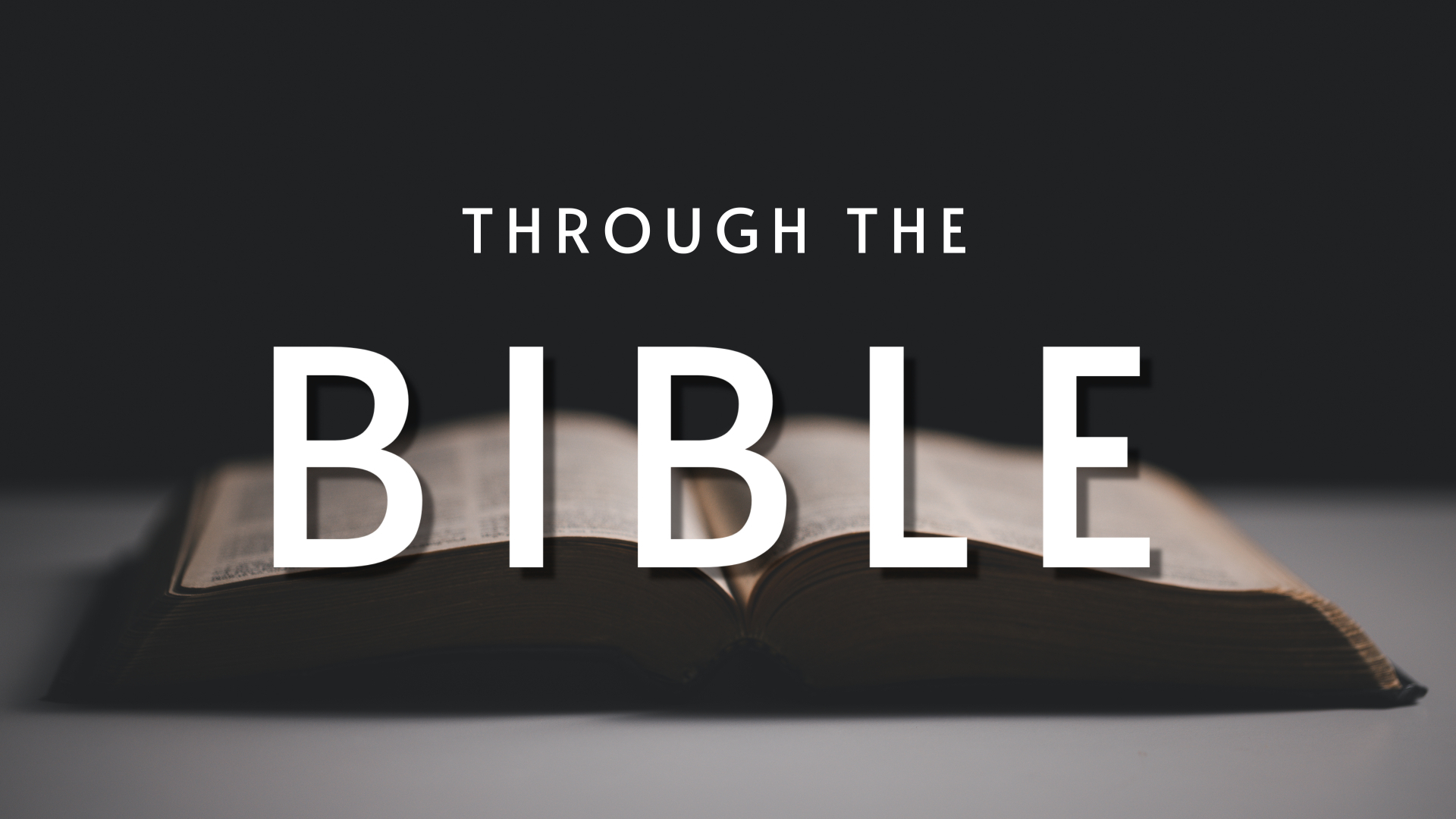 Through the Bible | Week 14