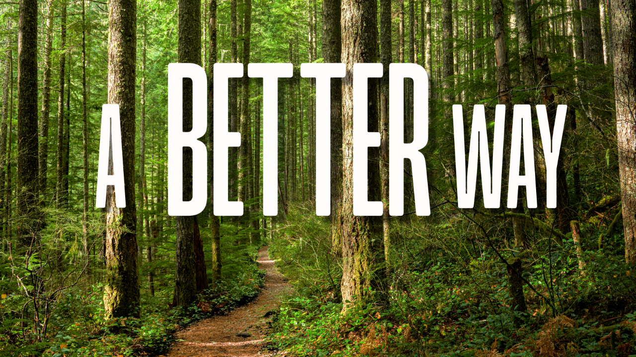 Surviving the Storm | The Sermon Series | Part 4: A Better Way