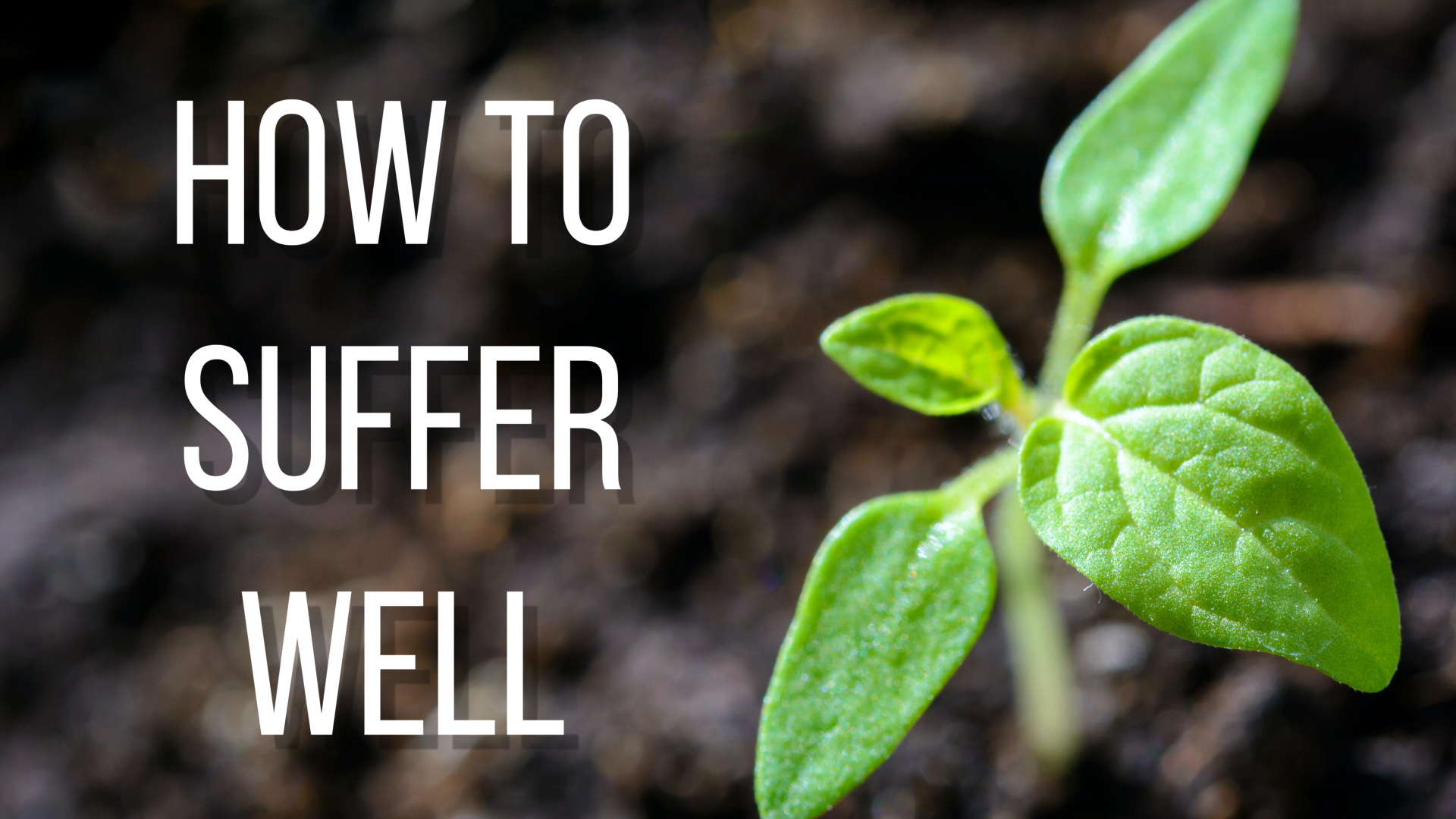 How To Suffer Well
