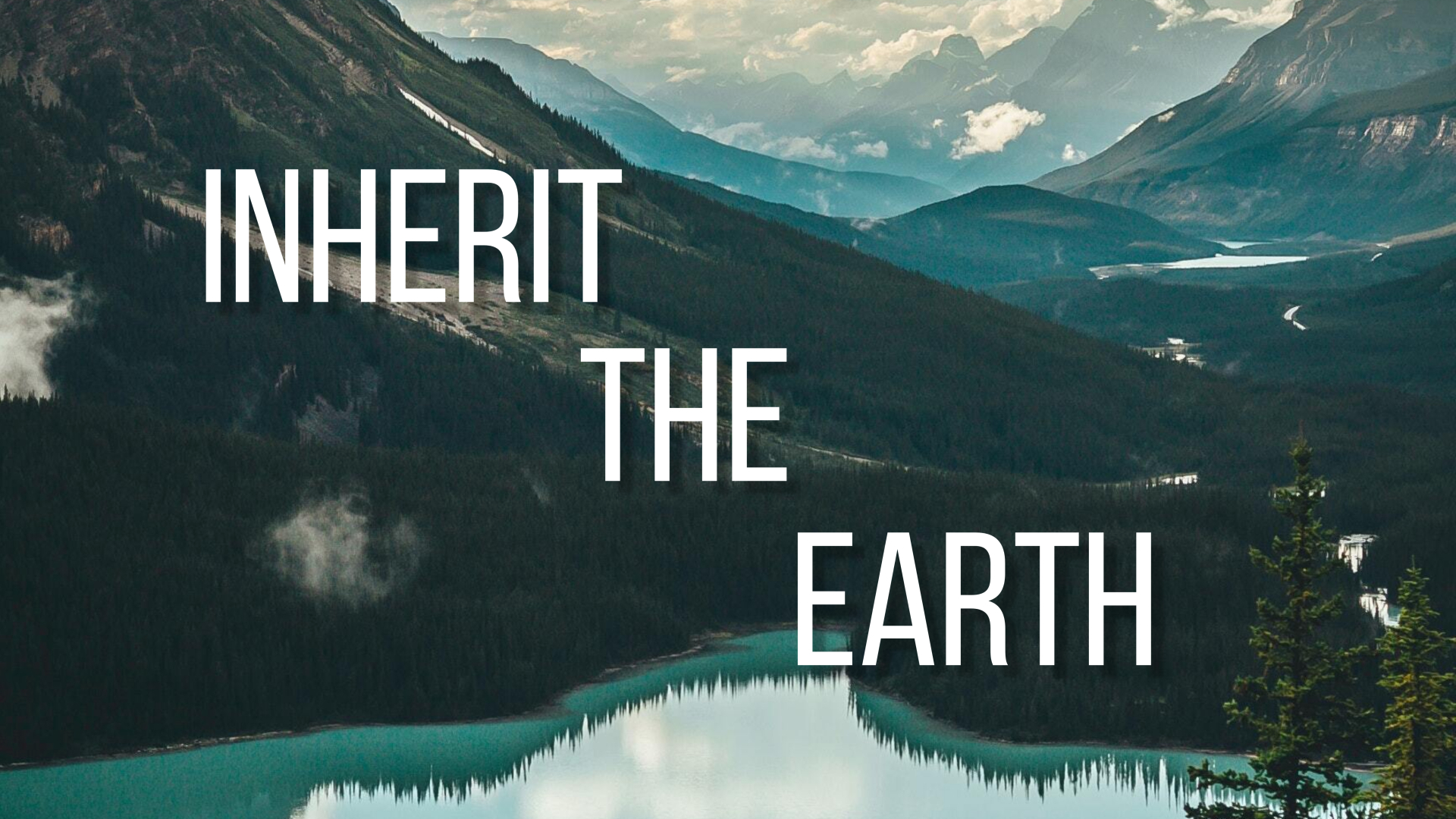 Inherit the Earth
