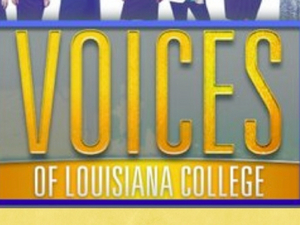 VOICES OF LA. - Audio episode artwork