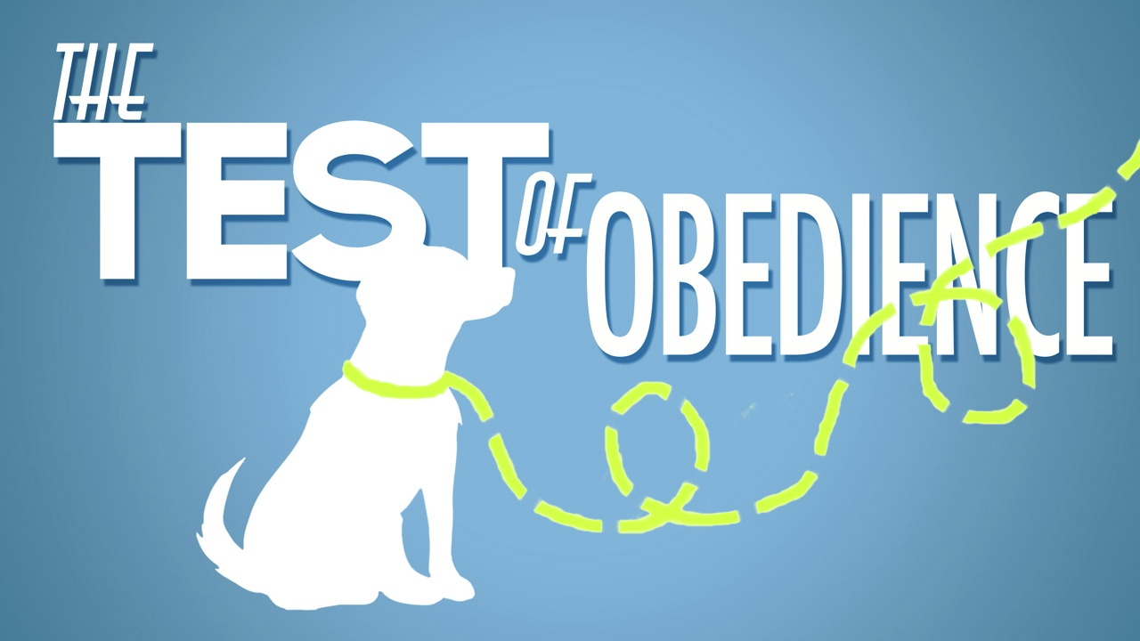THE TEST OF OBEDIENCE episode artwork