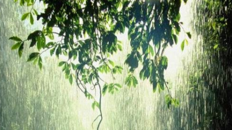 Times Of Refreshing logo