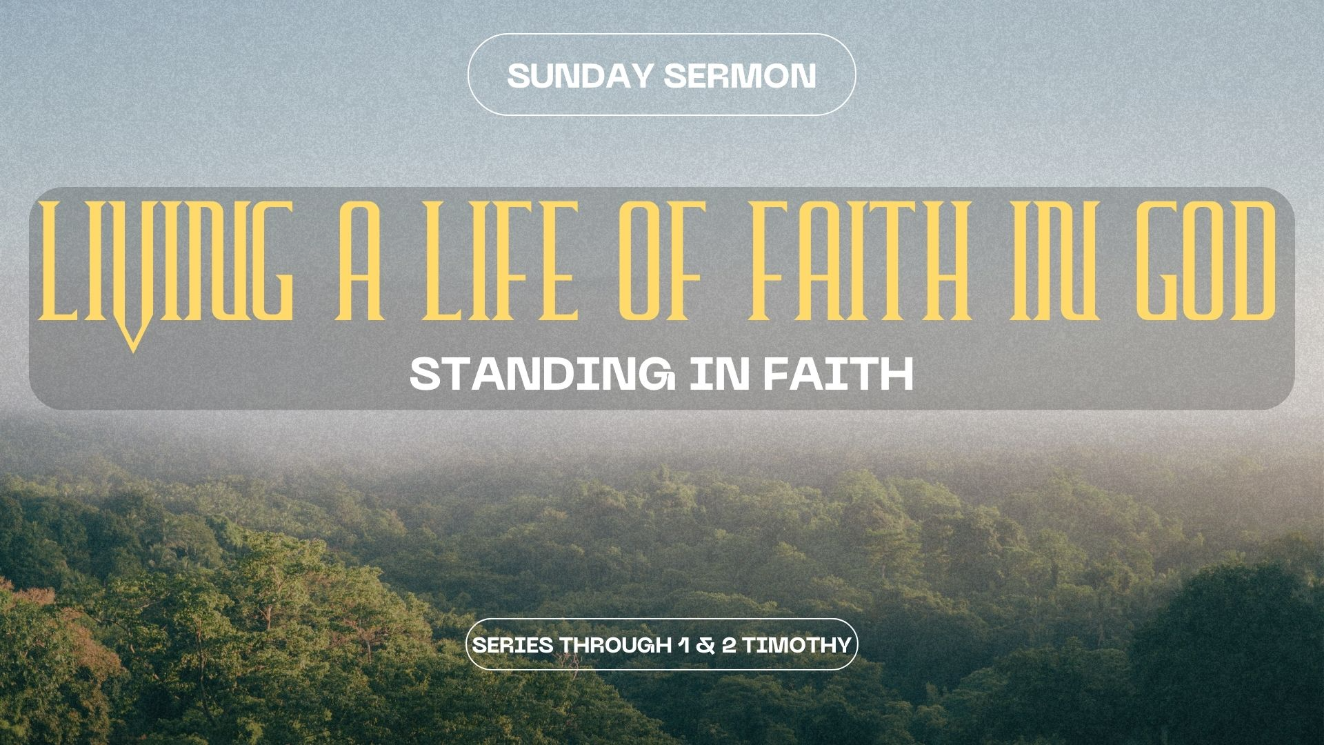 Week 3: Standing In Faith