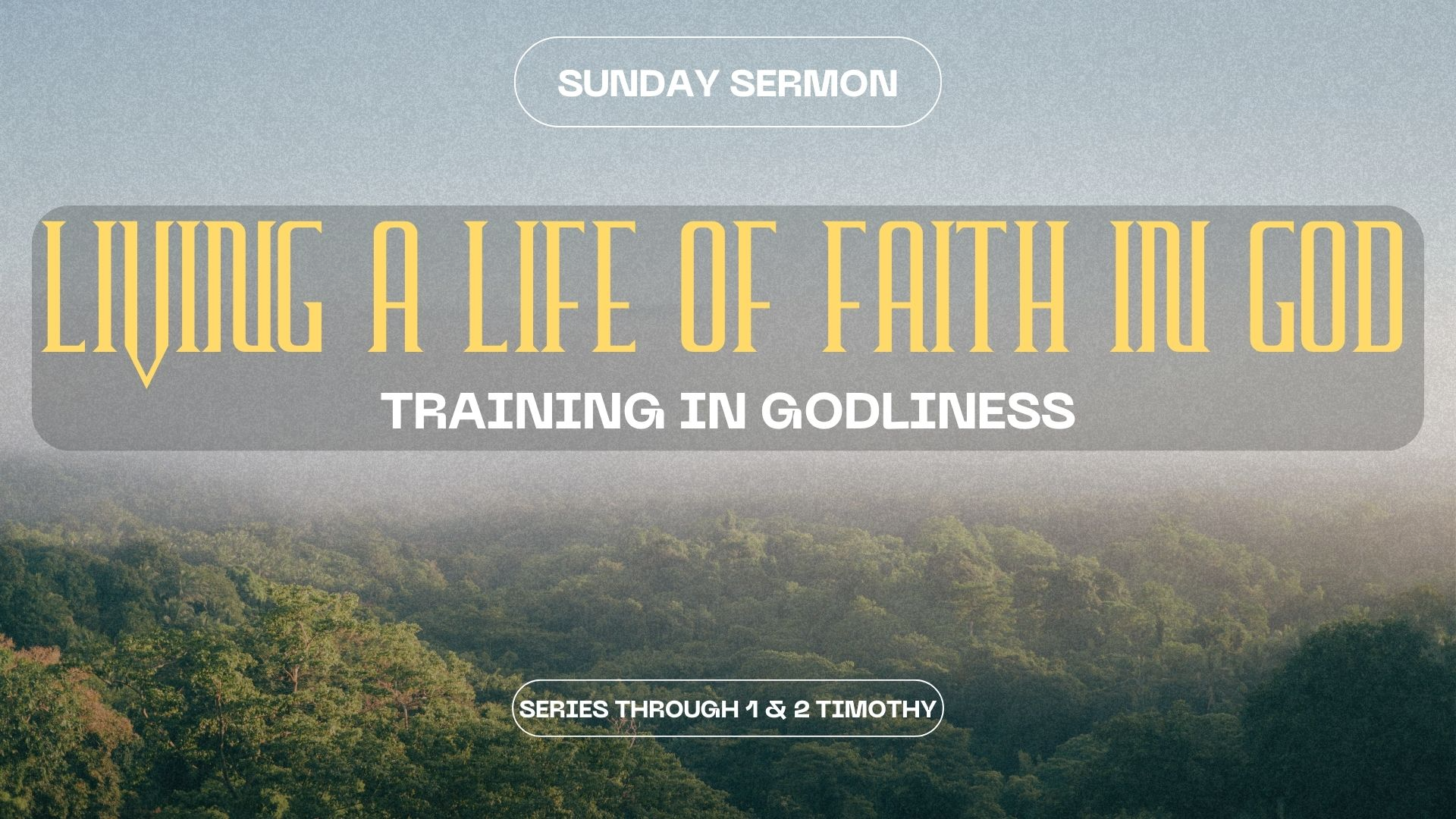 Week 4: Training in Godliness
