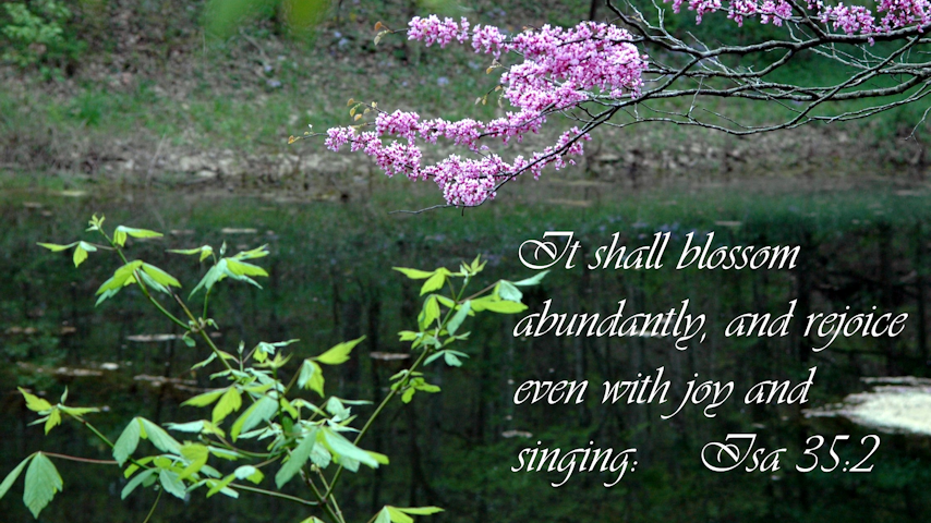 Shelbyville Christian Assembly