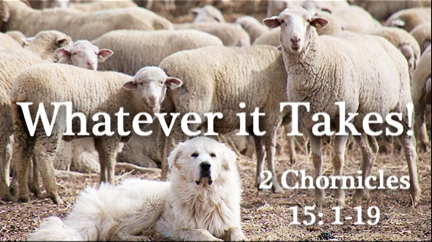 2 CHRONICLES 15: 1-19