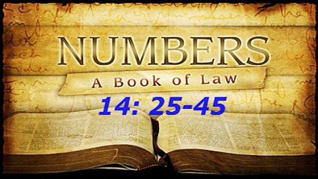 NUMBERS 14: 25-45