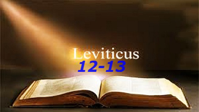 LEVITICUS 12-13