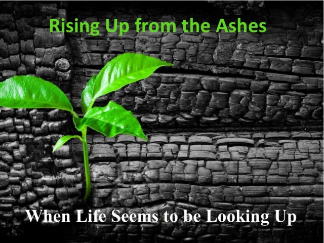 Rising Up from the Ashes 4: When Life Seems to be Looking Up episode artwork