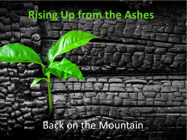 Rising Up from the Ashes 6: Back on the Mountain episode artwork