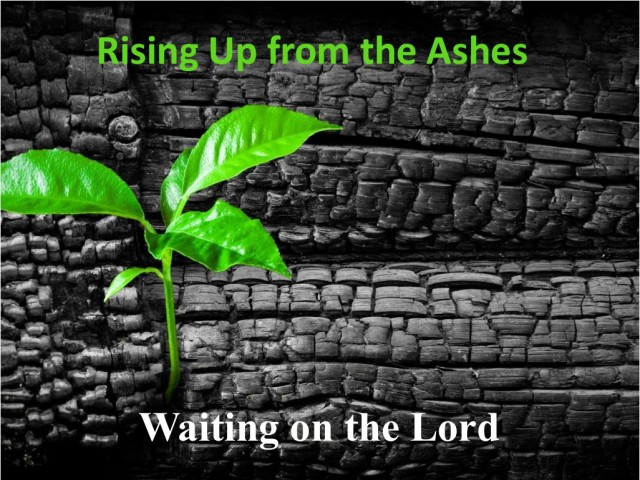 Rising Up from the Ashes 7: Waiting on the Lord episode artwork