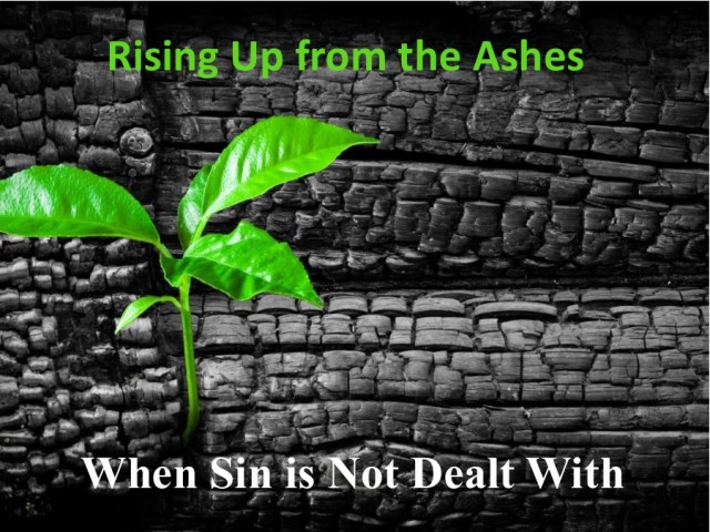 Rising Up from the Ashes 8: When Sin is not Dealt With episode artwork