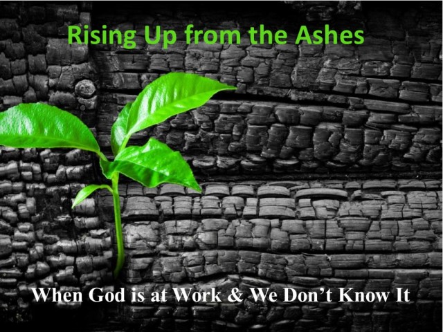 Rising Up from the Ashes 9: When God is at Work and We Don't Know It episode artwork