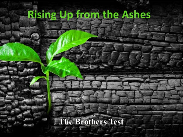 Rising Up from the Ashes 10 The Brothers Test episode artwork
