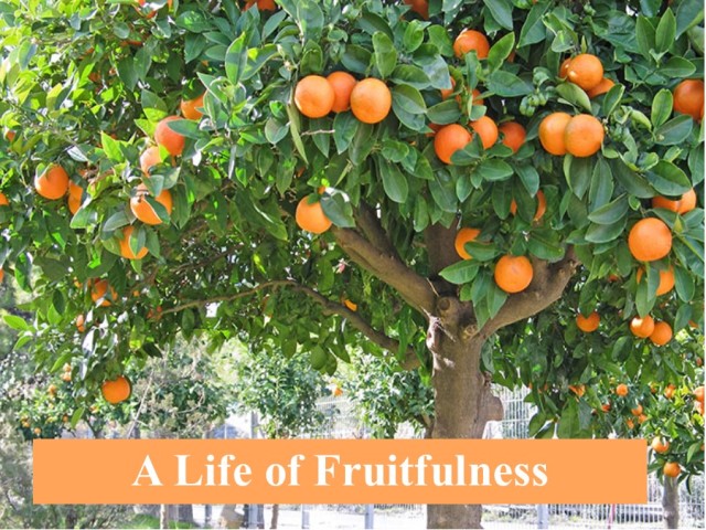 A Life of Fruitfulness 1 episode artwork