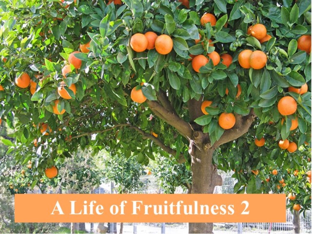 A Life of Fruitfulness 2 episode artwork