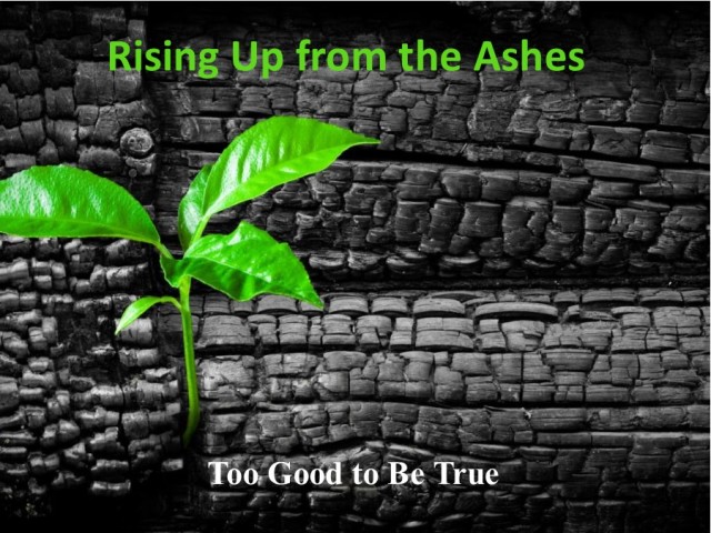 Rising Up from the Ashes 12 Too Good To Be True episode artwork