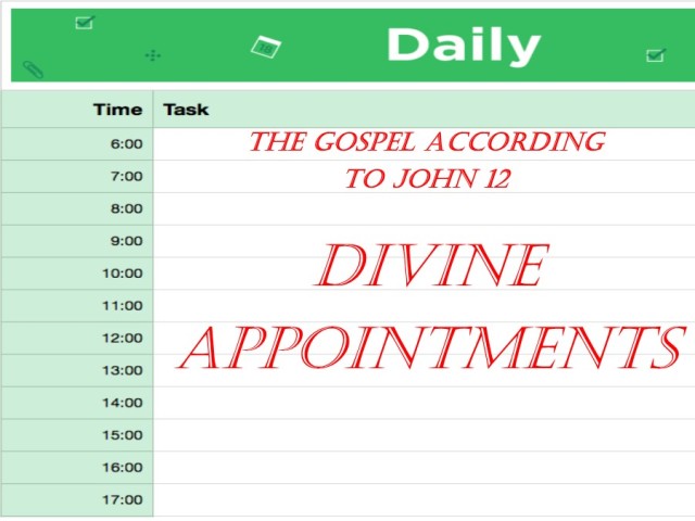 The Gospel According to John 12: Divine Appointments - Audio episode artwork