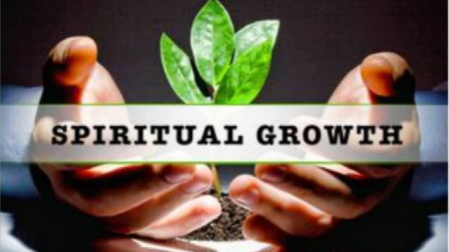 Means to Maturity - Lesson #1 - Overview