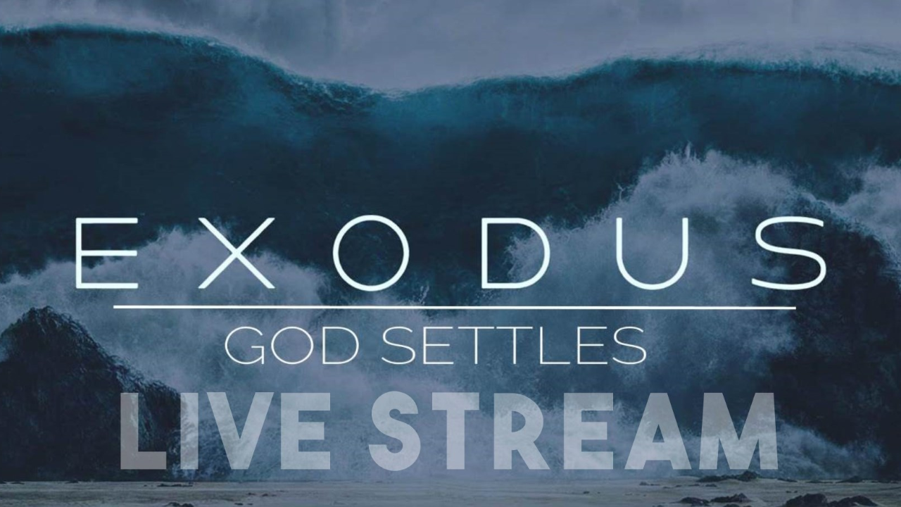 Your Role in God's Vision