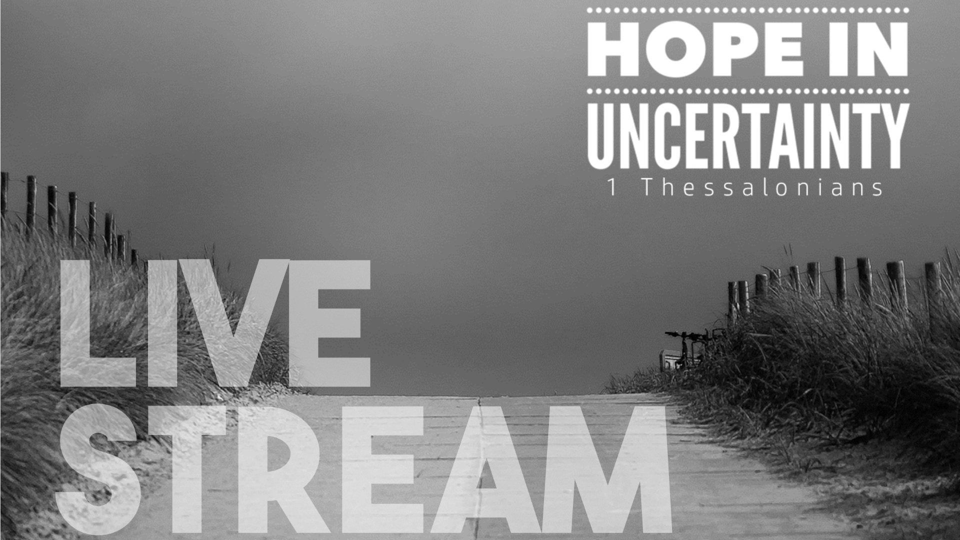 Something to Celebrate