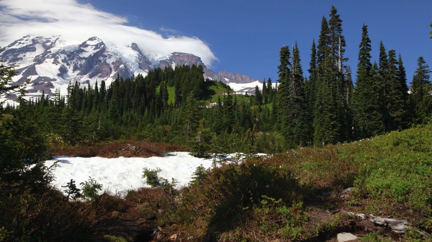 Orchard Street Church