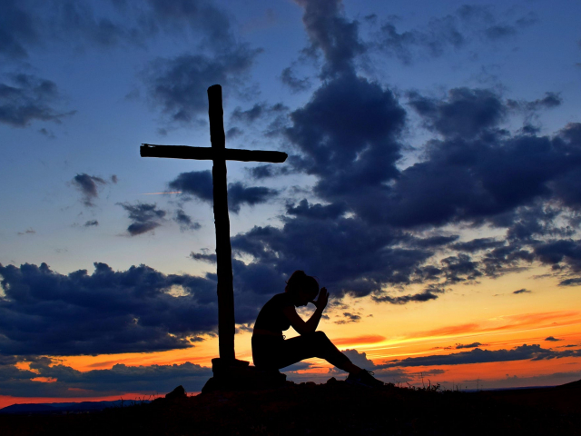 The week that was…