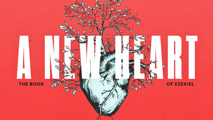 Fruit Salad or Sour Grapes