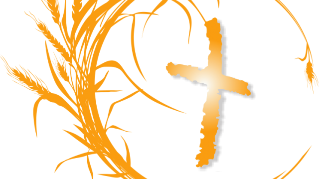 Who is the king of the jungle?