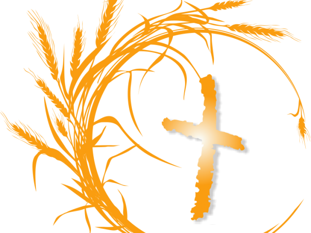 Sandton Bible Church logo