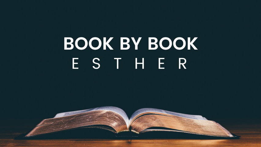 Book by Esther: What's Your Destiny? episode artwork