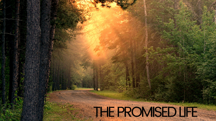 The Promised Life 2 episode artwork