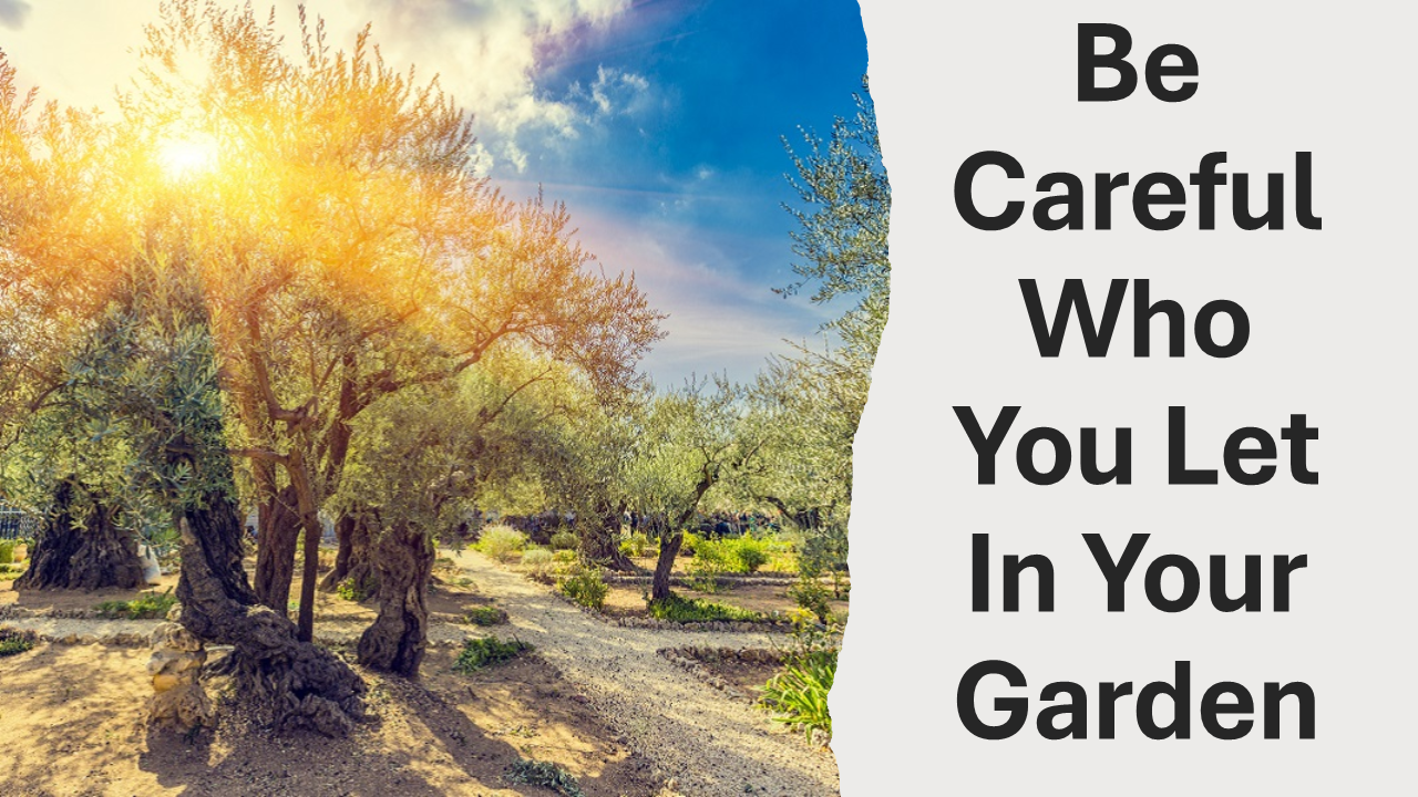 Be Careful Who You Let In Your Garden