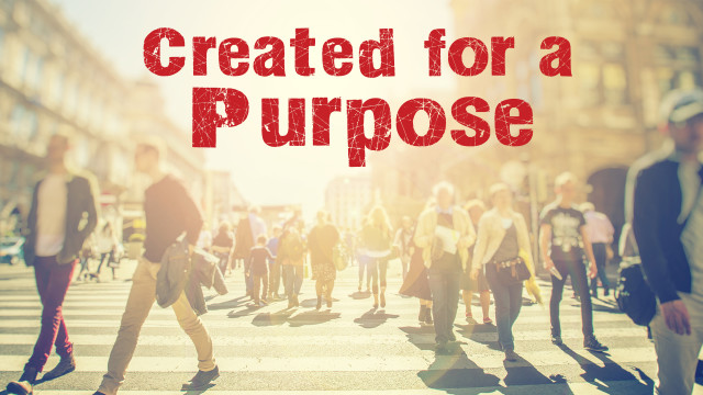 Created For A Purpose