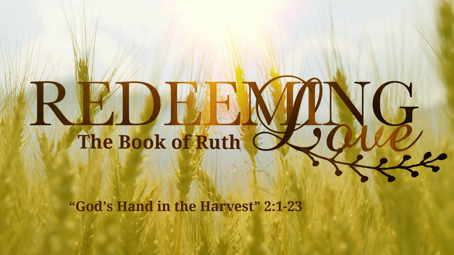 God's Hand in the  Harvest - Audio episode artwork