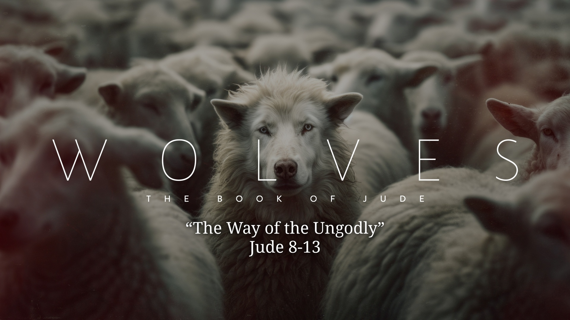 The Way of the Ungodly - Video episode artwork