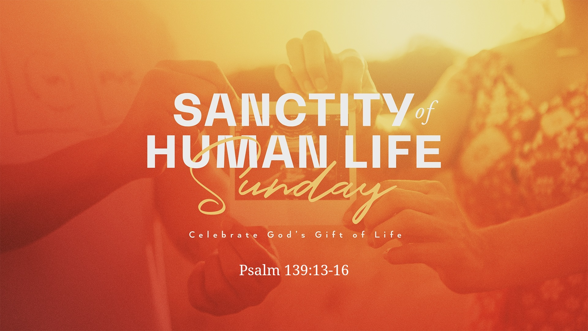 Sanctity of Human Life - Audio episode artwork