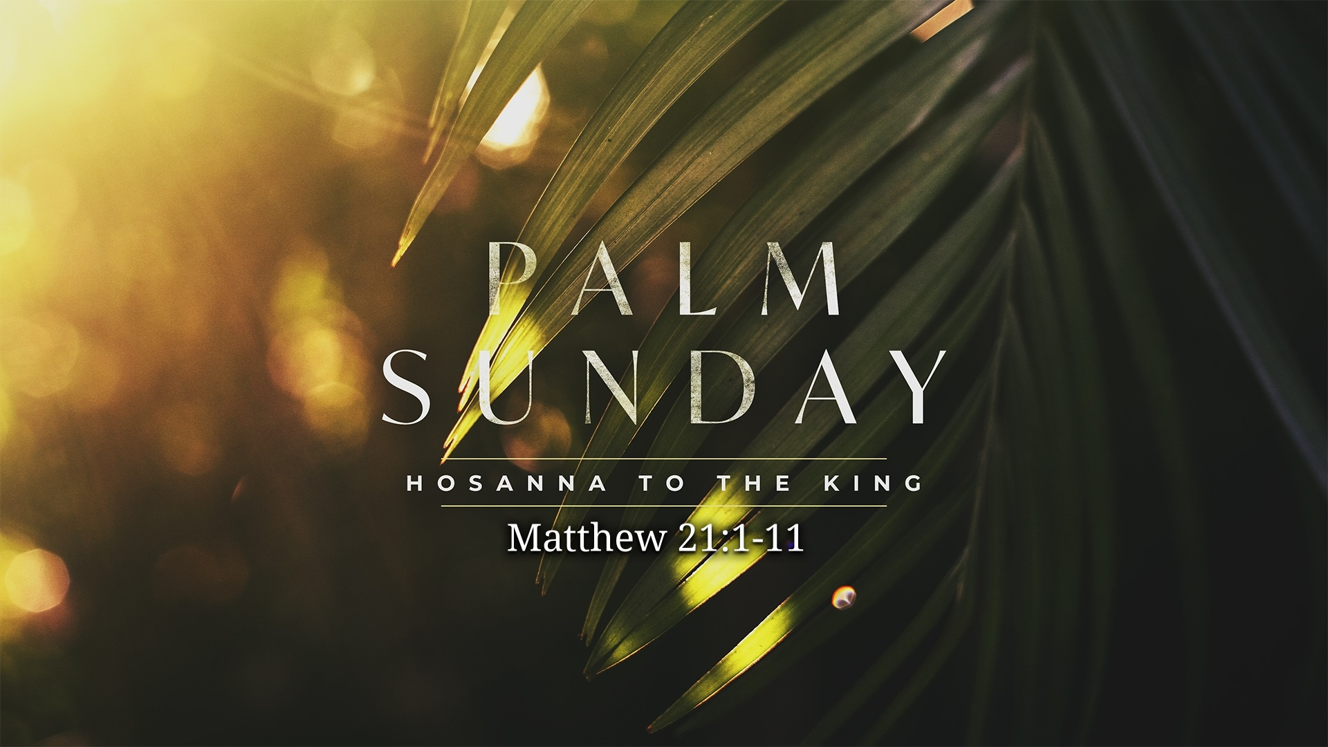 Hosanna to the King - Audio episode artwork