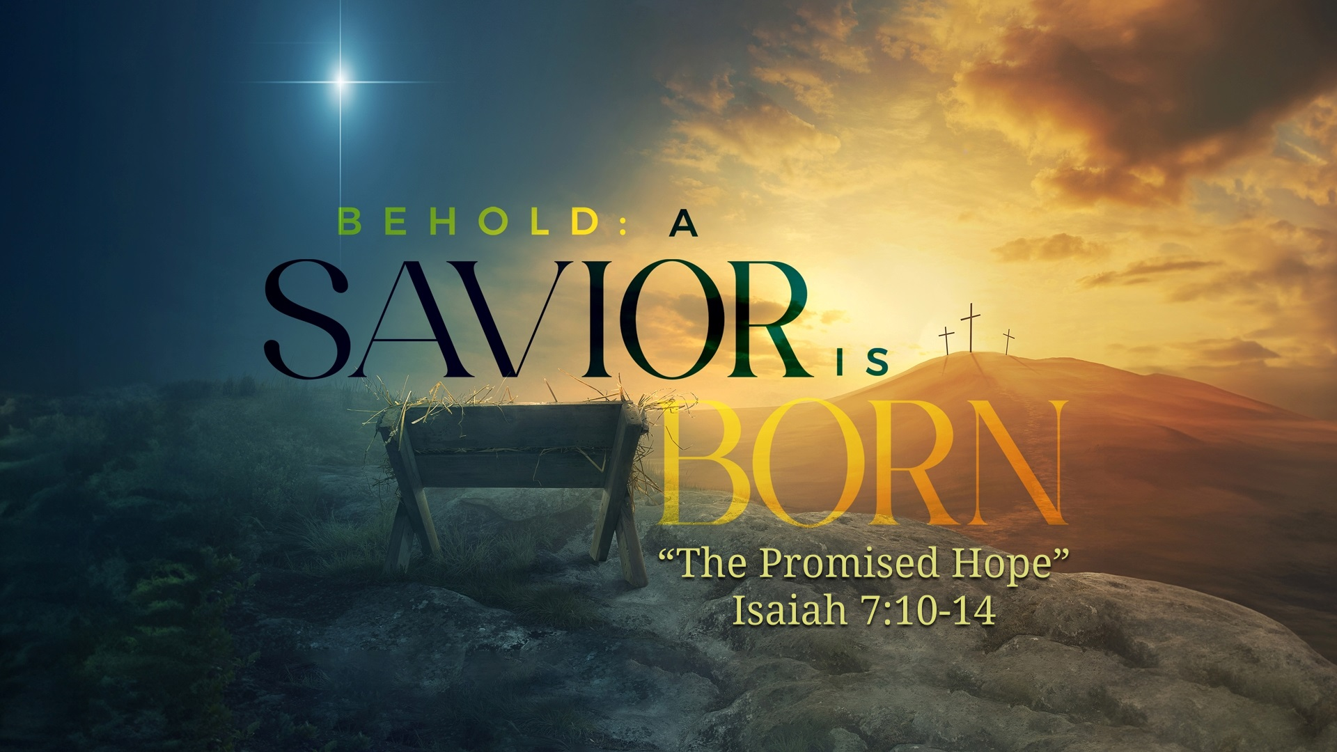 The Promised Hope - Audio episode artwork