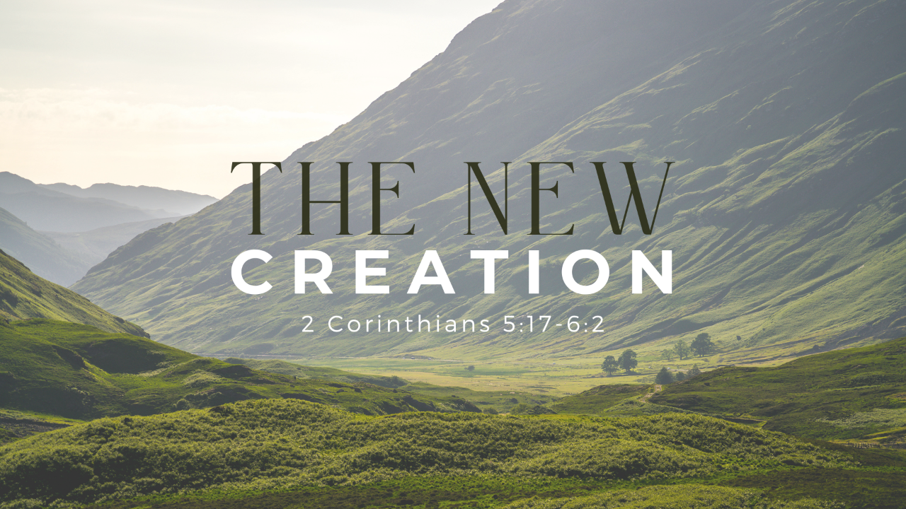 The New Creation