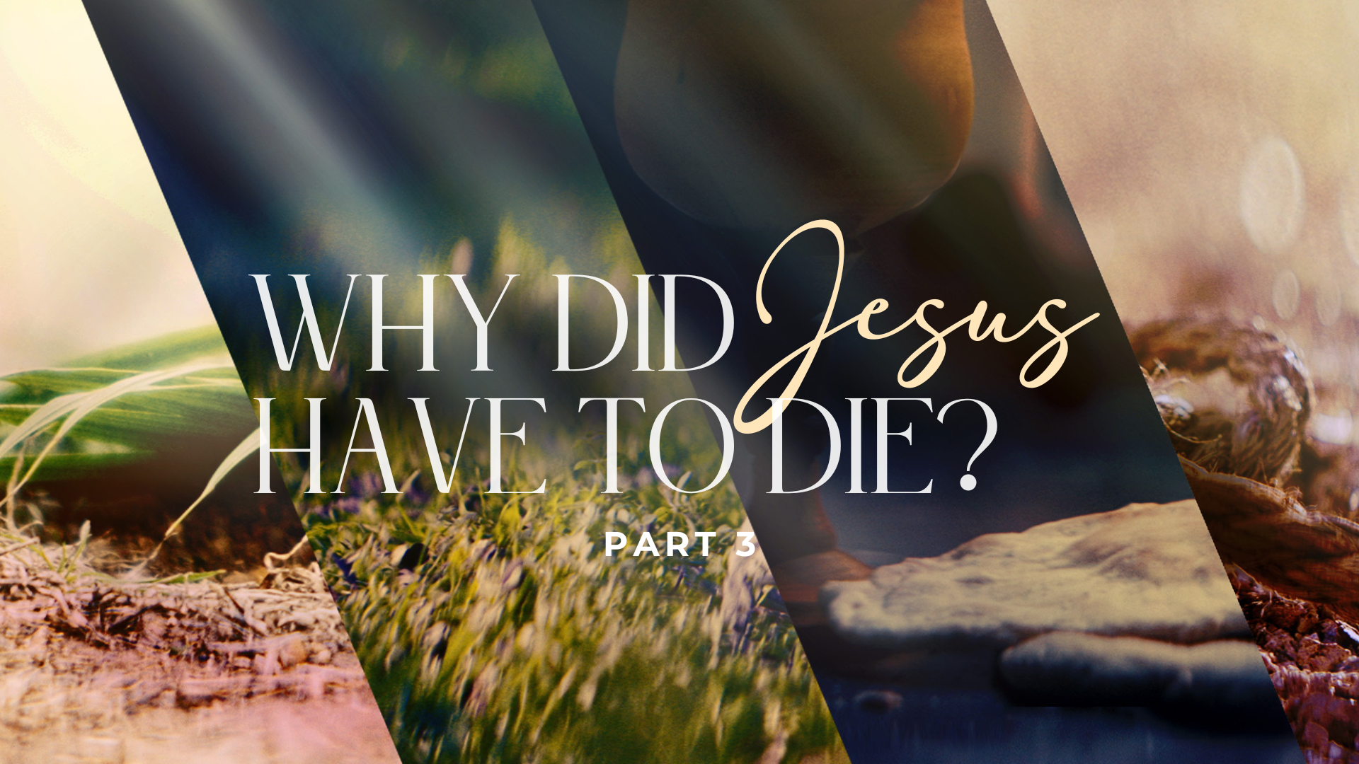 Why Did Jesus Have To Die (Part 3) 