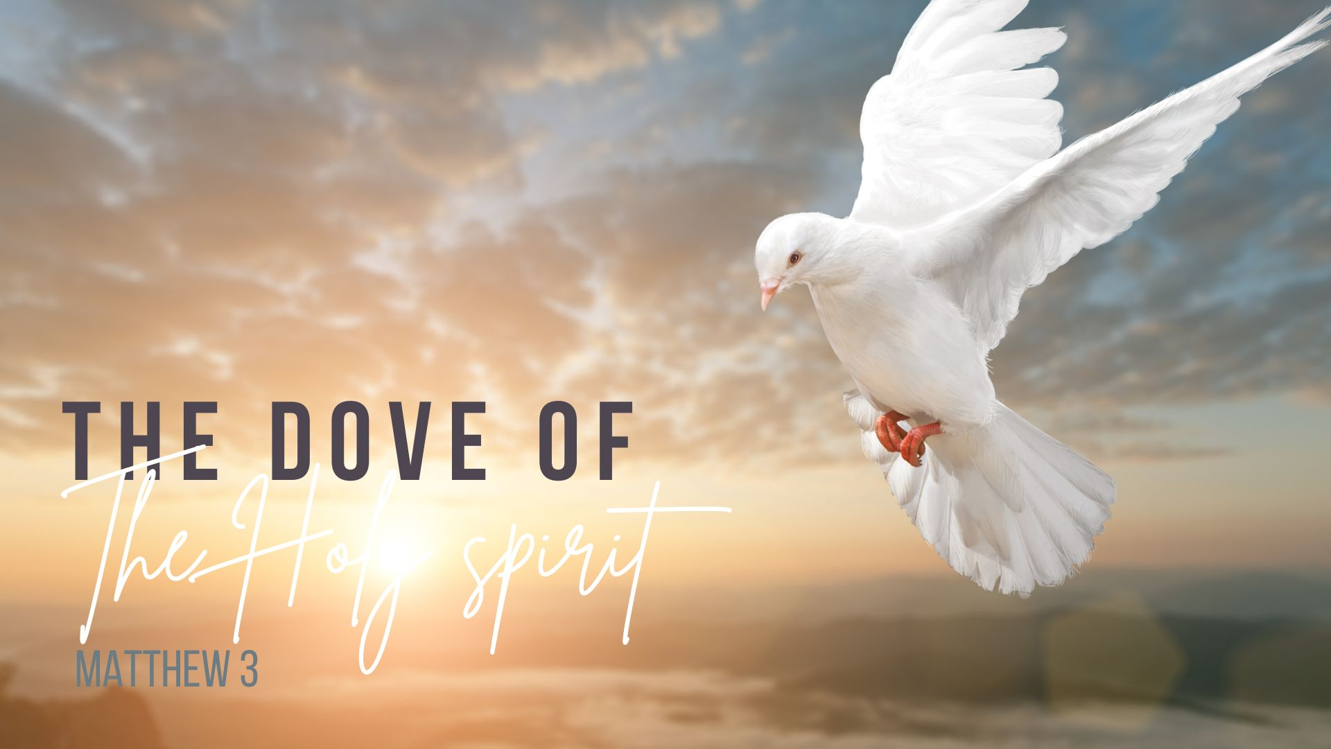 The Dove of The Holy Spirit