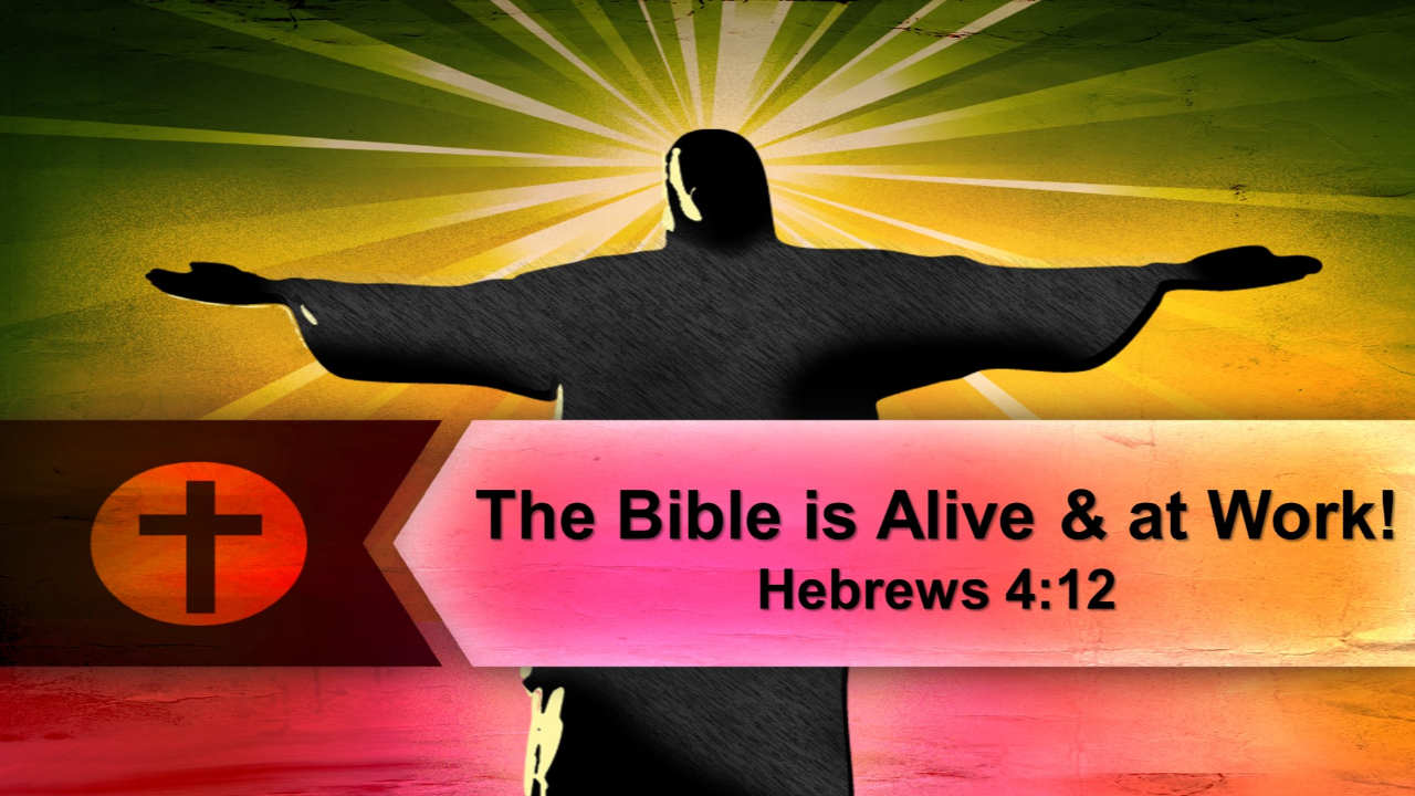 The Bible is Alive & at Work! episode artwork