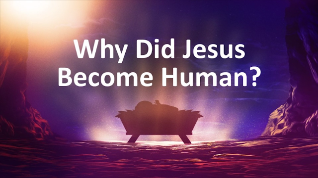Why Did Jesus Become Human? To Sit on David's Throne. episode artwork